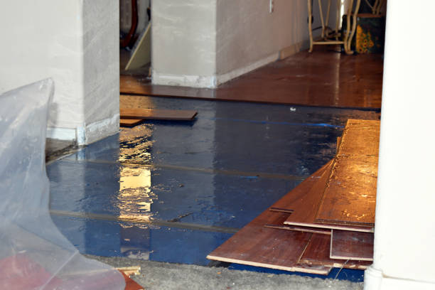 Professional Emergency Water Damage Restoration technician working in Edgerton, MO